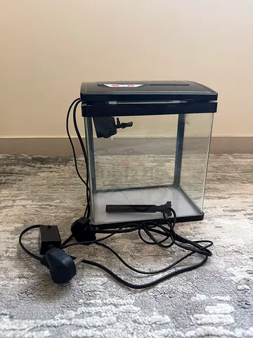 Fish aquarium