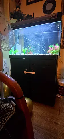 Used Large Home Aquarium with Cabinet Stand - Ready to Use
