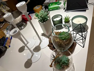 Small decorative succulents, candles and candle holders - bundle