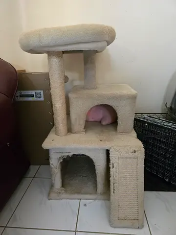 CAT TREE, CAT LITTER BOX AND CARRIER