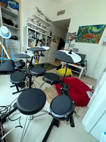 Alesis debut drums - Barely Used