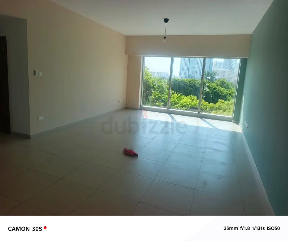 DPV_View_Image_2