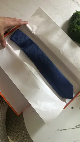 Authentic Hermès Paris 100% silk tie