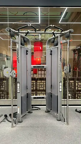 Life Fitness Dual Pulley