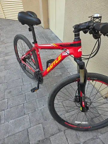 Mountain bike big size
