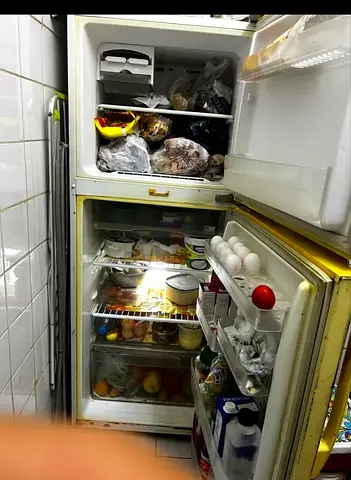 Fridge
