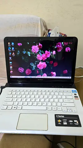 Sony VAIO E14 Series 14-Inch Laptop (2.5 GHz Intel Core i5 Processor, 4GB RAM, 512GB ROM