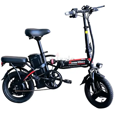 KQ03 Electric Unisex Mini city Bicycle 48V 13Ah 1500W