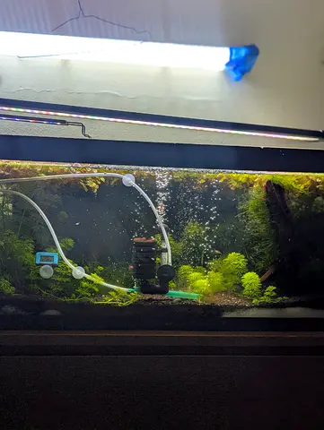 Complete aquarium setup for sale