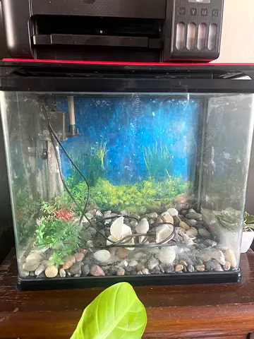 Aquarium/ water tank