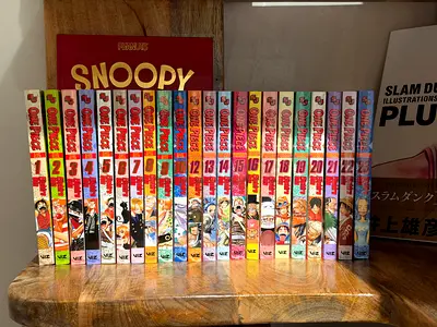 One Piece anime manga volumes 1–23