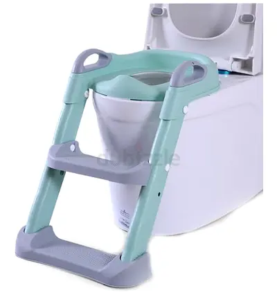 Potty Training Seat with Removable Step Ladder - Mint/Gray