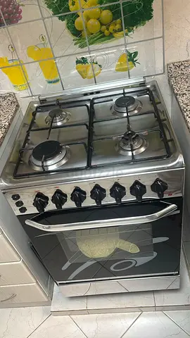 Stainless Steel 4-Burner Gas Cooker & Oven