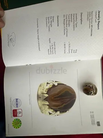دبي الورقاء
