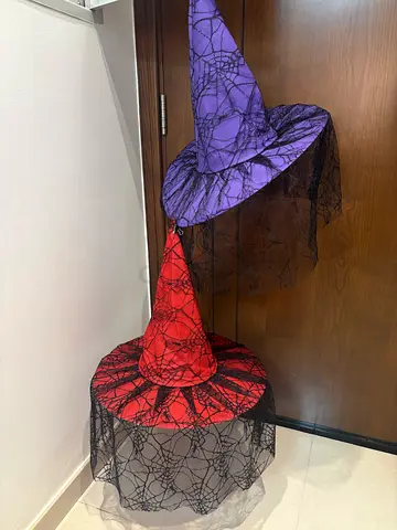 Two Halloween Witches Hats
