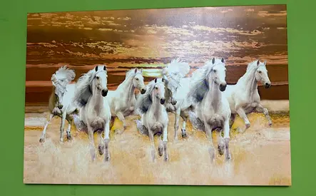 Wall canvas picture frame