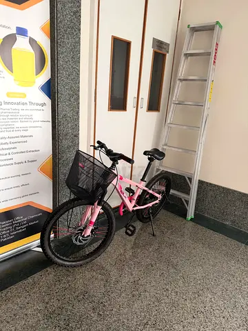 Lightweight bicycle - pink/white
