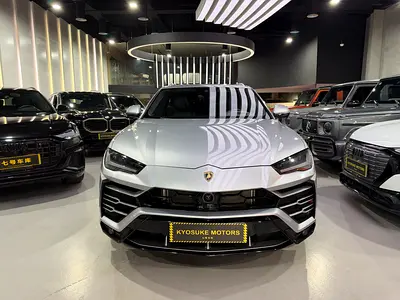 Lamborghini Urus 2020 Standard