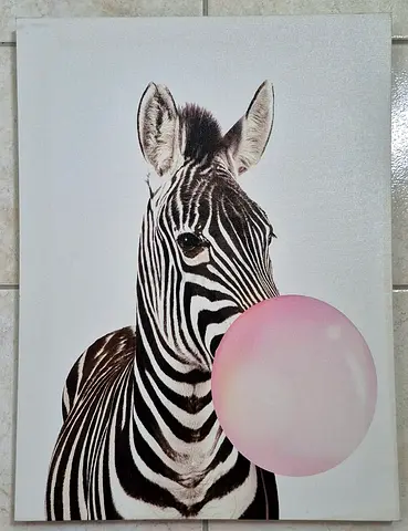 Canvas Zebra Print with Pink Bubble - 30 x 40cm