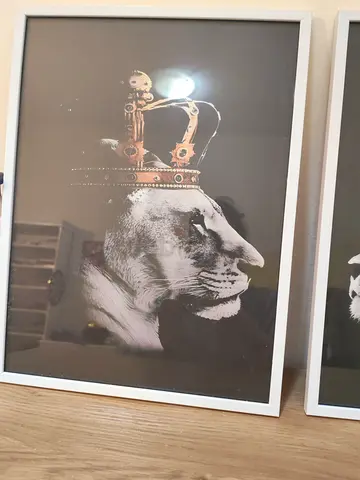 Framed Lion with Crown Wall Art (White Frame) - Set of 2