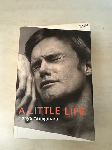 A Little Life by Hanya Yanagihara - Paperback (Good Condition)