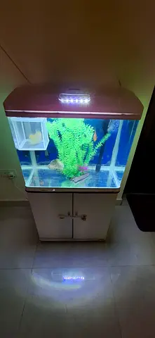 Complete aquarium
