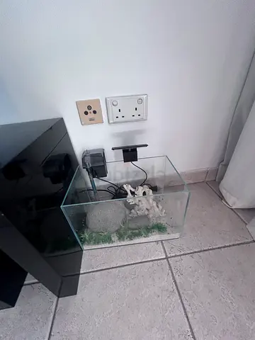 Small Decorative Glass Aquarium Terrarium - Ready to Use