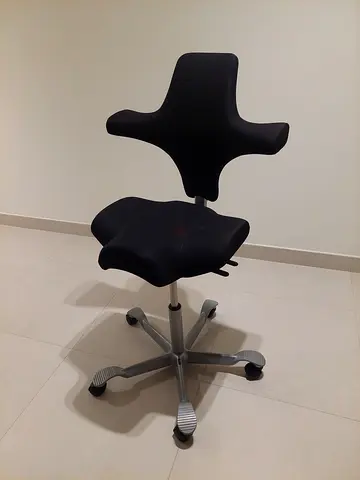 Model HAG Capisco Adjustable Standing Desk Chair - Silver Frame
