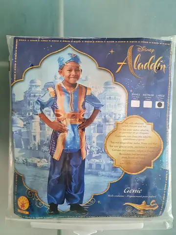 Aladdin costume kid
