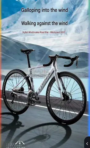 Trinx Mercury 300 road bike alluminium frame light weight