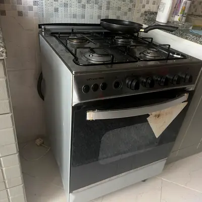 Gas oven