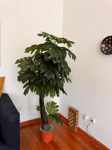 Tall artificial indoor potted tree - green foliage, ready to display