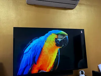 Philips 55-Inch 4K UHD Android Smart TV – Model 55PUT8215/56