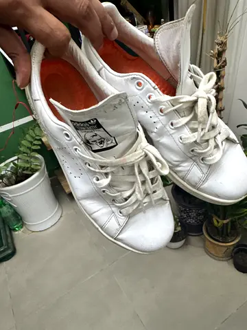 Adidas white shoes